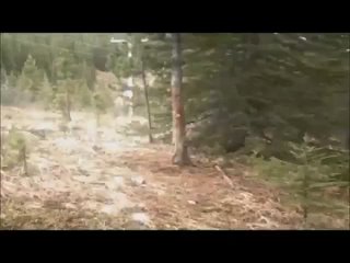 best дом 2хуйприколпиздаджигурдапорношлюхисексэротикасерега медведевпутинматрицашбmypickupgirlдота100500сосёт best