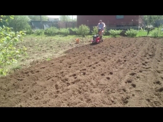 best coco mov 0396 mp4 best