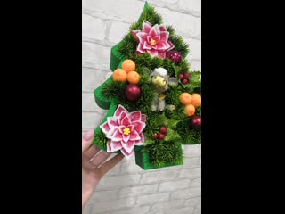 best skiol vid 20201219 011706 mp4 best