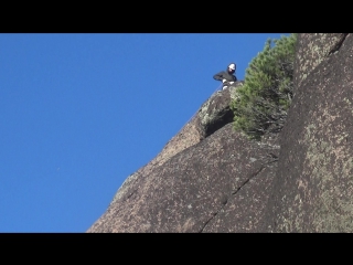best prnyednxv 00111 mts best