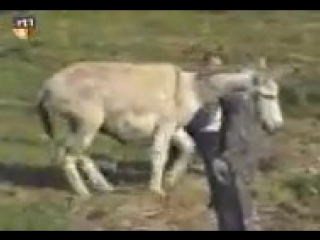 best tickling видео от aian aian best