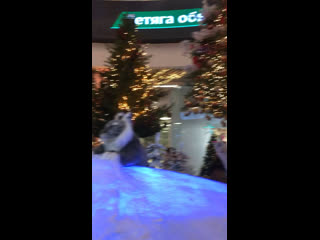 best фотозоны с ёлочками на проспекте независимости трц dana mall дана молл 2 01 2022г г минск беларусь best