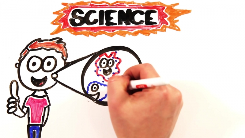 best asapscience is there a pimple cure 23 02 2016 best