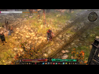best grim dawn некромант затейник рыцарь смерти элита best