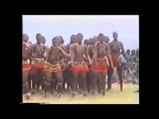 best daddys little naked zulu swazi black girls best