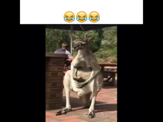 best иички ля ля ля ля ляяя best