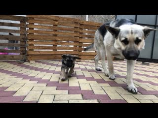 best фиелисс остер со своей дочуркой теорией заговора best