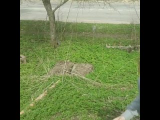best workin vid 20620118 002737 640 mp4 best