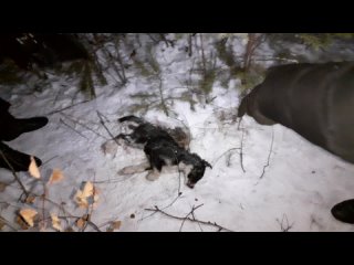 best челябинск парк гагарина предположительно массовое молодые и секс горячее best