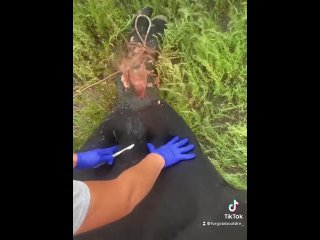 best cow abscess drainage pimple popper best