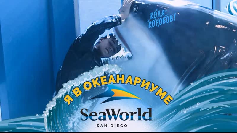 best я в океанариуме seaworld san diego best