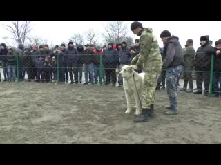 best punish 00016 wmv best