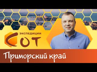 best как приручить дракона образование приморского края best
