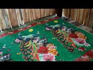 best img 20210928 021247 759 mp4 best