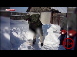 best в башкирии мусульманские живодеры отрубили кролику голову в честь дня всех влюбленных best