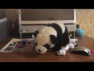 best 逼毛浓密淫骚大波网红多多小树林演绎西游记勾引师父唐憎啪啪被三个徒弟轮番性报复 amfx cod emp take 0012 mov best