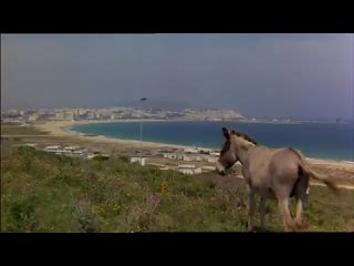 best знак стрельца i skyttens tegn denmark1978 best