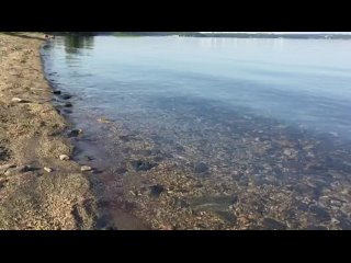 best загородный поселоксунгуль на берегу озера синара 89022563610 best