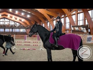 best уверенная посадка в седле баланс верхом на лошади 720p mp4 best