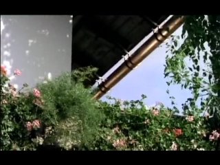 best жозефина мутценбахер развратница вены 1990 best