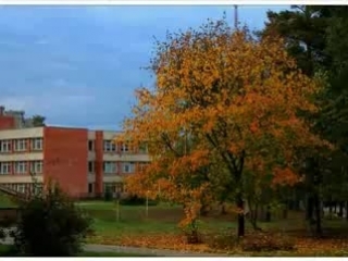 best 348 этож надо было моему засранцу так удачно попасть в кадр бло чё я не там best