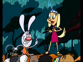 best brandy whiskers 11 best