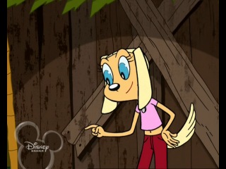 best brandy whiskers 18 best