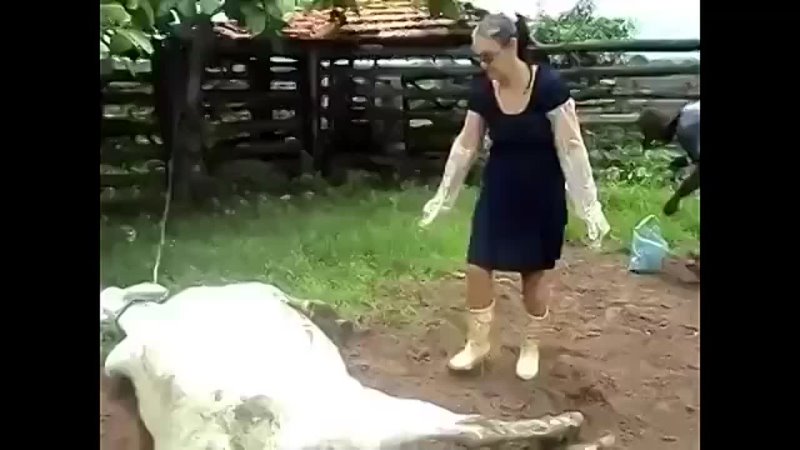 best светляк подкрался к спящей арте но не тут то было best