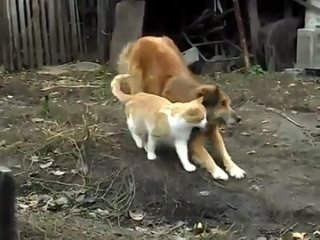 best опытный пикапер палкан знает как затащить в постель любую киску валерьянка best