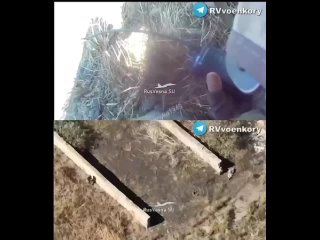 best мразь хотела резать русню но не учла что попасть в плен это большая удача best