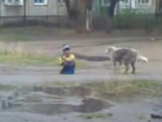 best пёс обижает школотутрахает малыша прям на улице best