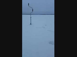 best xpanasnet vid 20190114 091600 mp4 best
